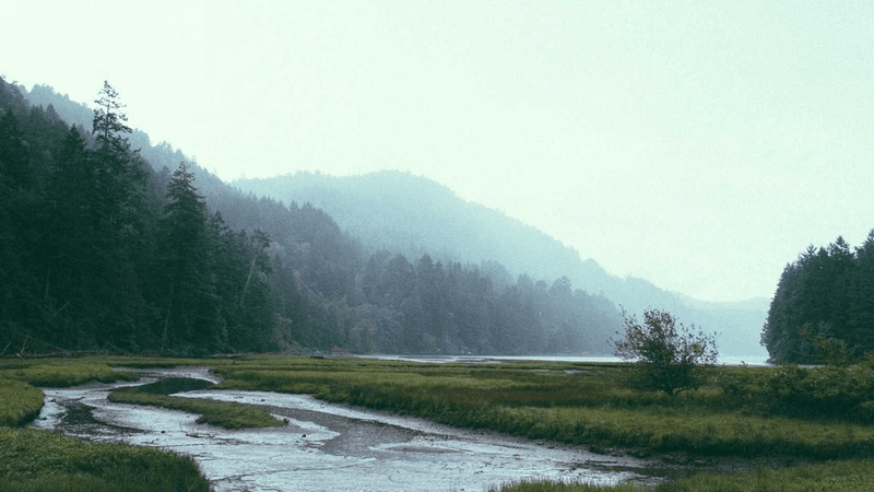 Coding - professional stock photography