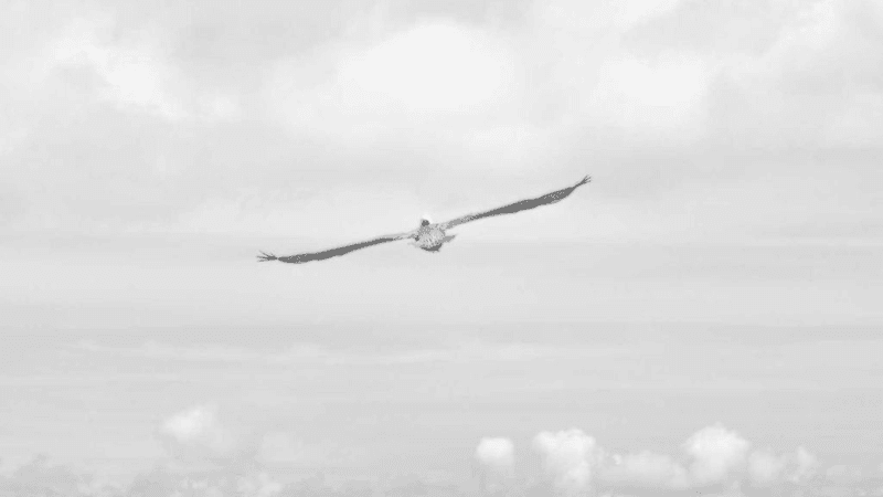 Database - professional stock photography