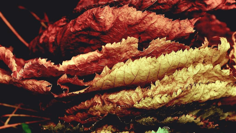 Iot Device - professional stock photography