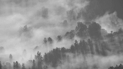Server Room - professional stock photography